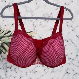 Adore Me Red and Pink Mesh Bra